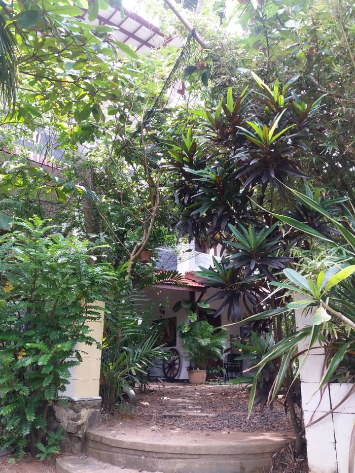 Peacock Wings Guest House