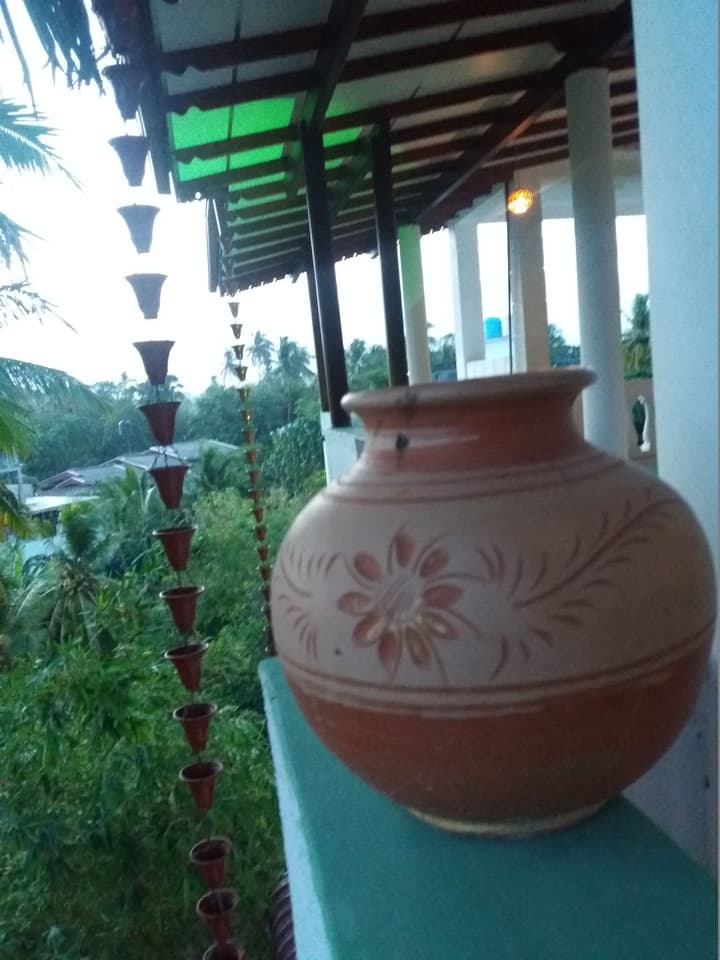 Peacock Wings Guest House