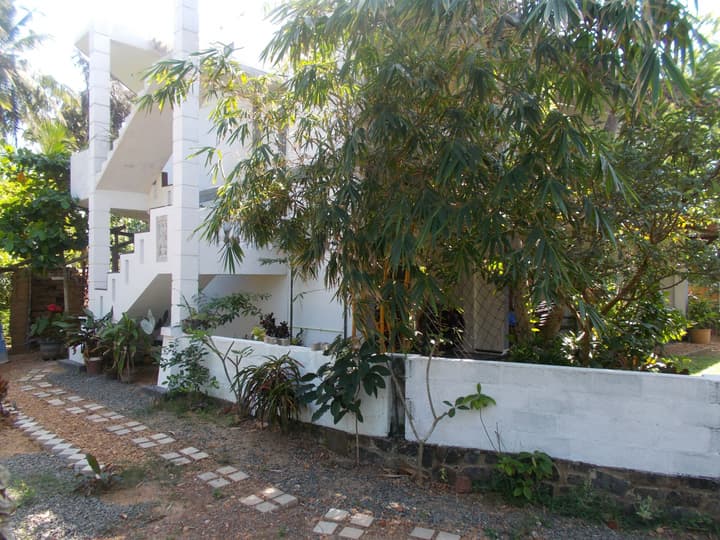 Peacock Wings Guest House