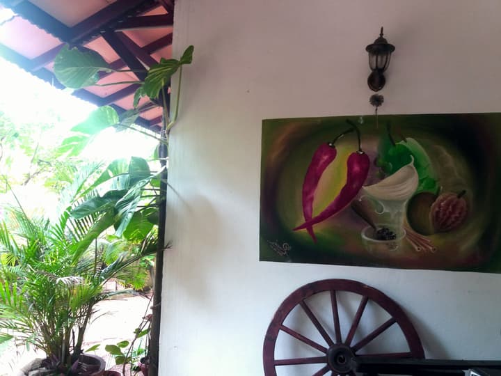 Peacock Wings Guest House