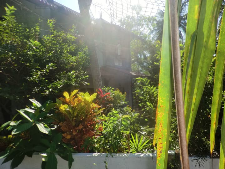 Peacock Wings Guest House
