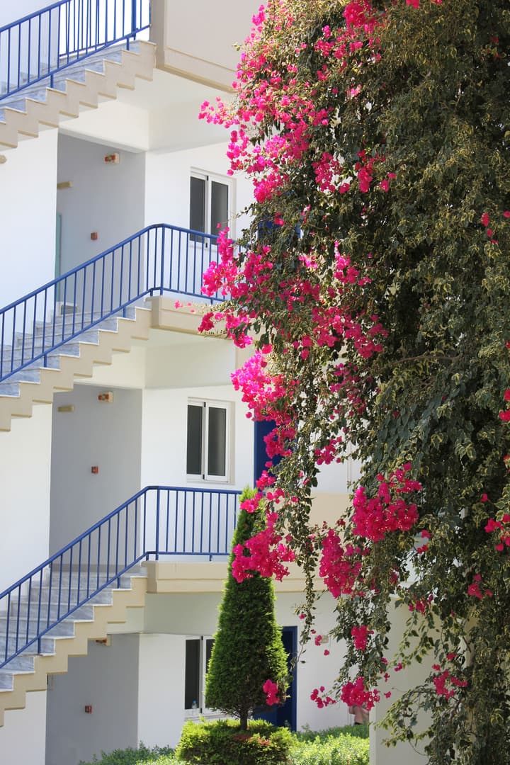 Sea Melody Beach Hotel & Apartments