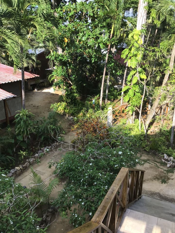 Whistling Bird Resort Negril