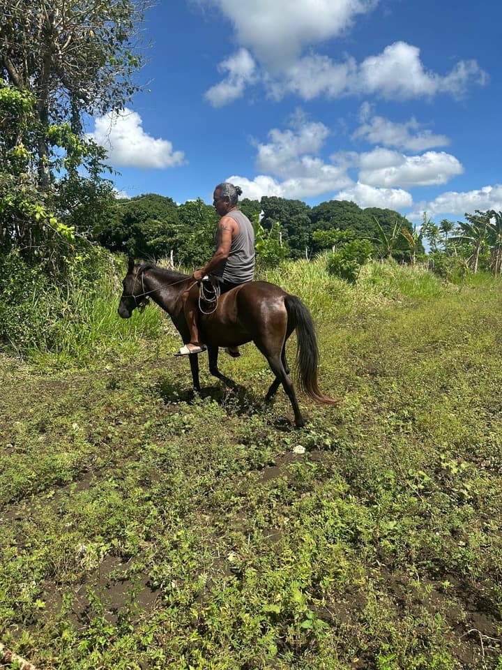 Ecologico Las Tres Marias Ranch