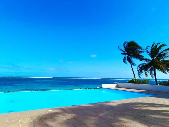 La palmeraie Eden Blue by Barbadine