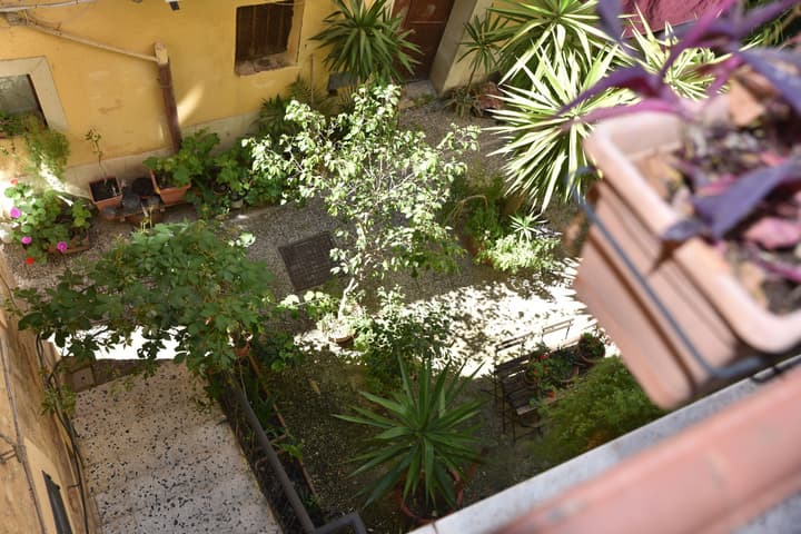 B&B Garden in the city