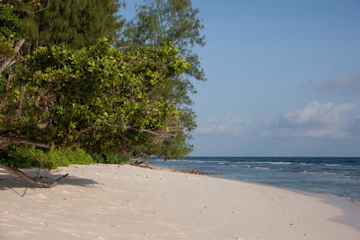 Le Relax Luxury Lodge - Adults Only
