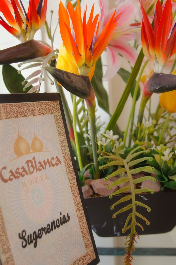 Hotel Casa Blanca