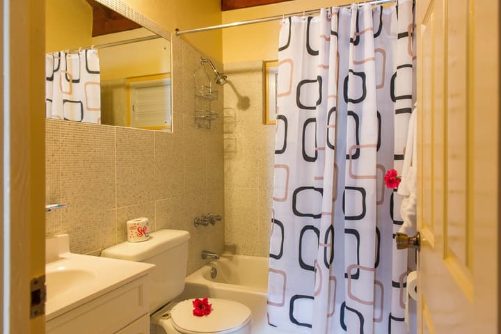 Tropical Beach Suite