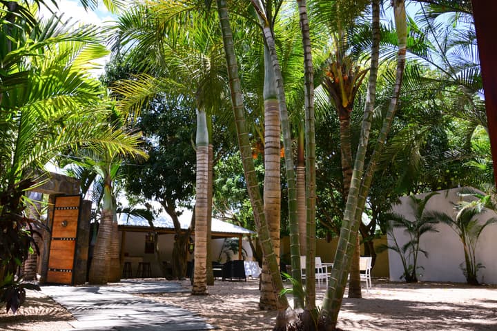 La Margarita