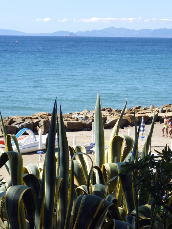 Baia Etrusca