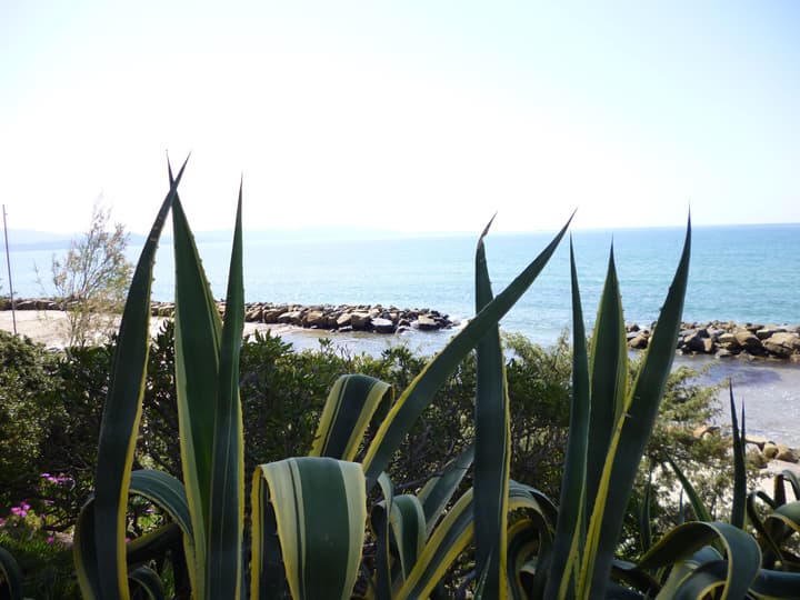 Baia Etrusca