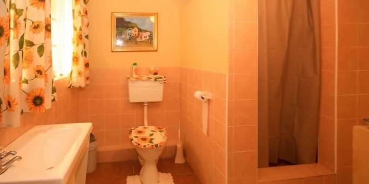 Homestead B & B