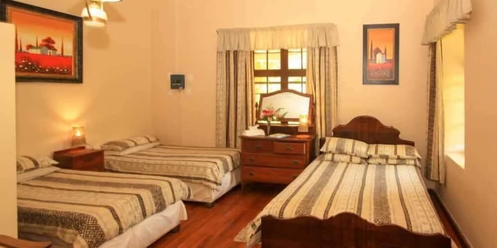 Homestead B & B