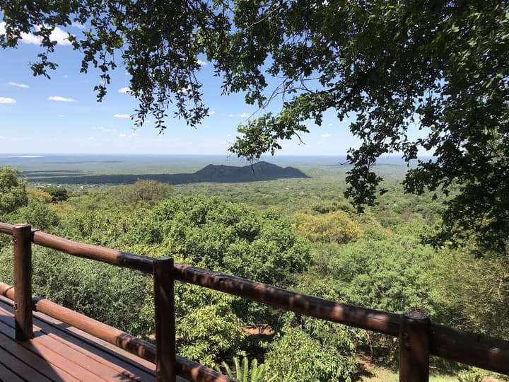 Amafu Forest Lodge