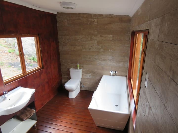 Amafu Forest Lodge