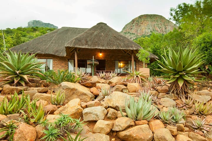 Amafu Forest Lodge