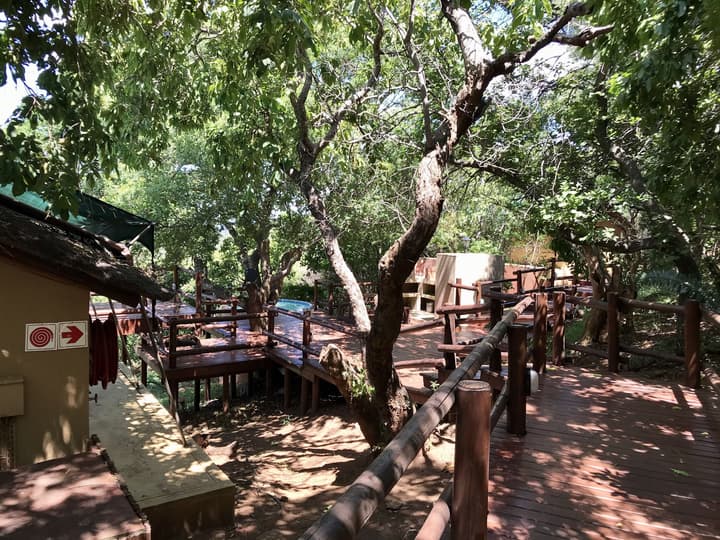 Amafu Forest Lodge