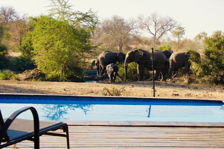Masodini Private Game Lodge