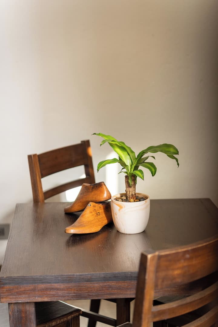 Sophia Hotel By OxoHotel