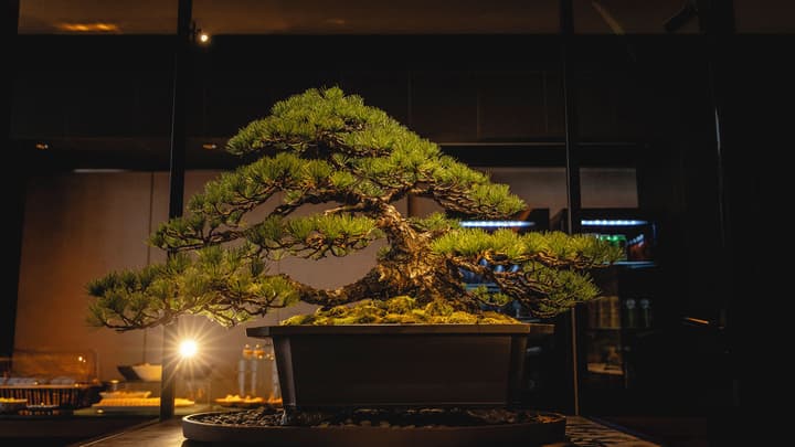 Hotel Gracery Kyoto Sanjo
