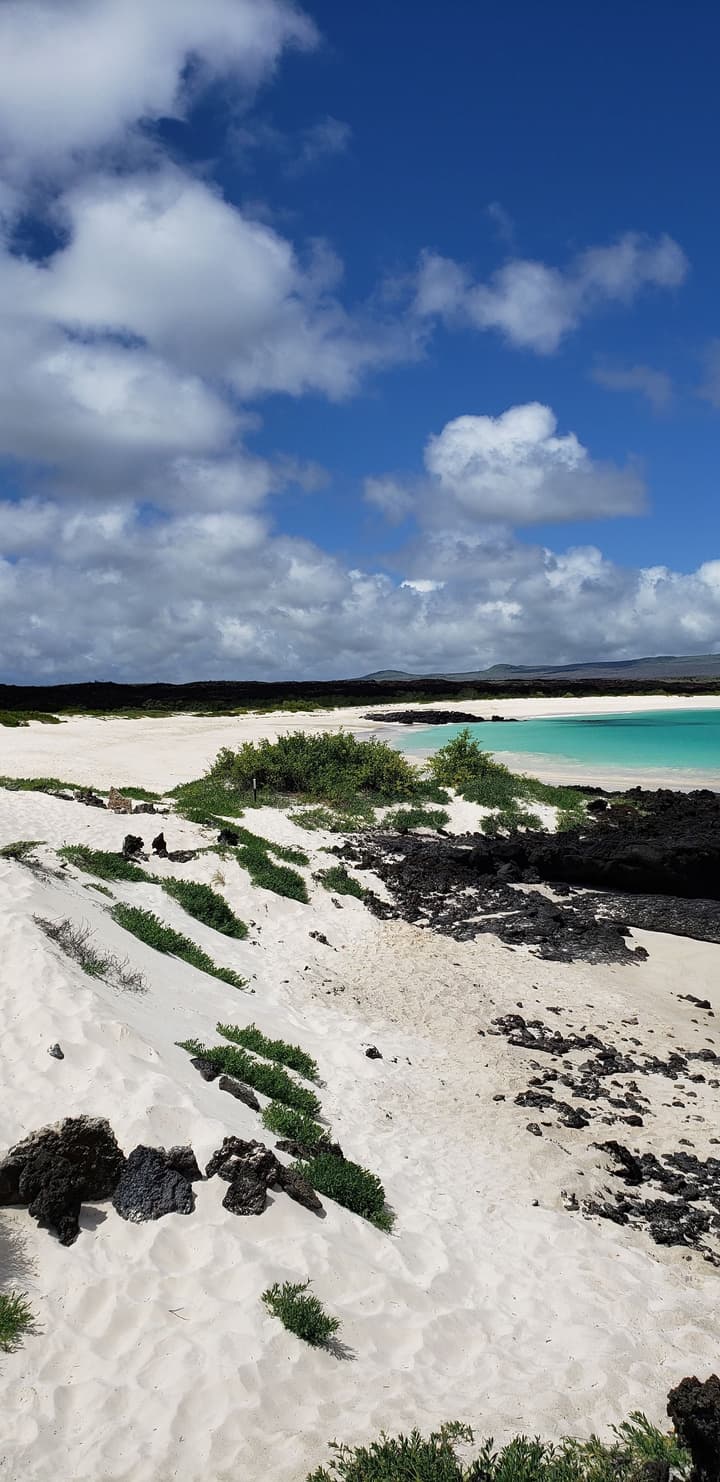 Galapagos Eco Friendly