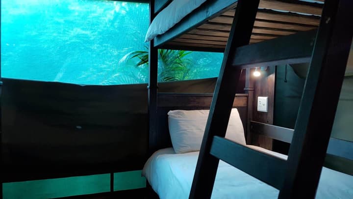 Budget Tented Village at Urban Glamping - Hostel
