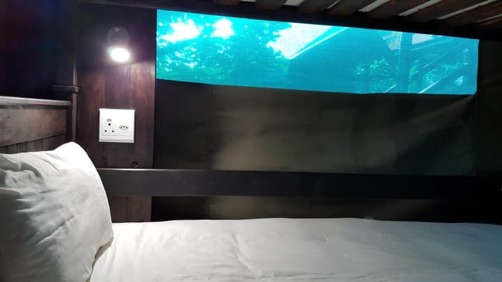 Budget Tented Village at Urban Glamping - Hostel