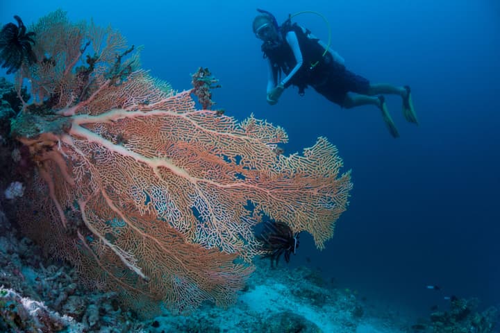 Milaidhoo Maldives