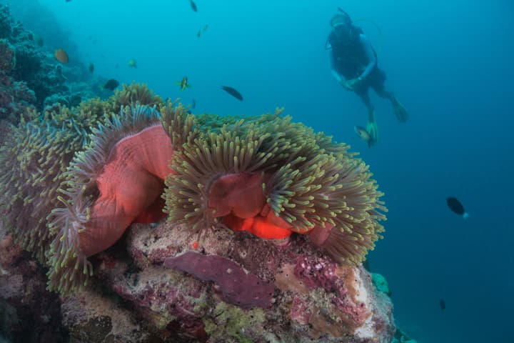 Milaidhoo Maldives