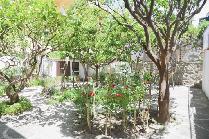 Hotel Cesotta