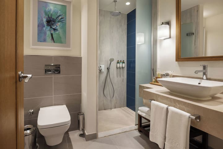 Titanic Luxury Collection Bodrum - All inclusive