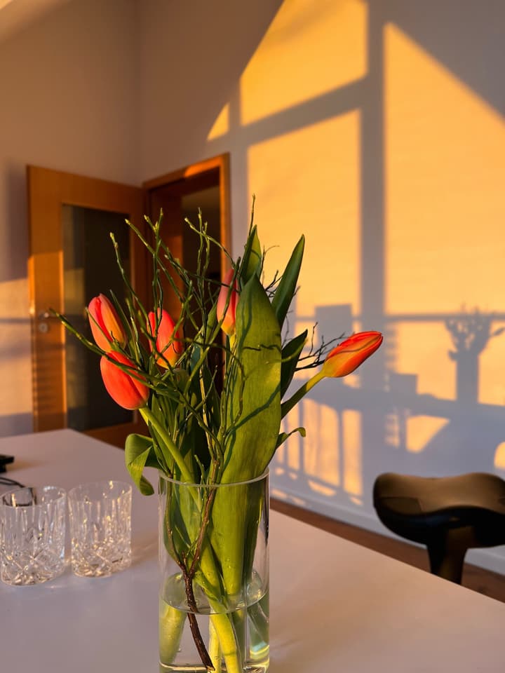 Hotel Prinz