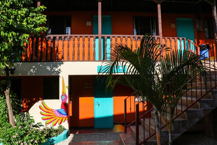 Blue Iguana