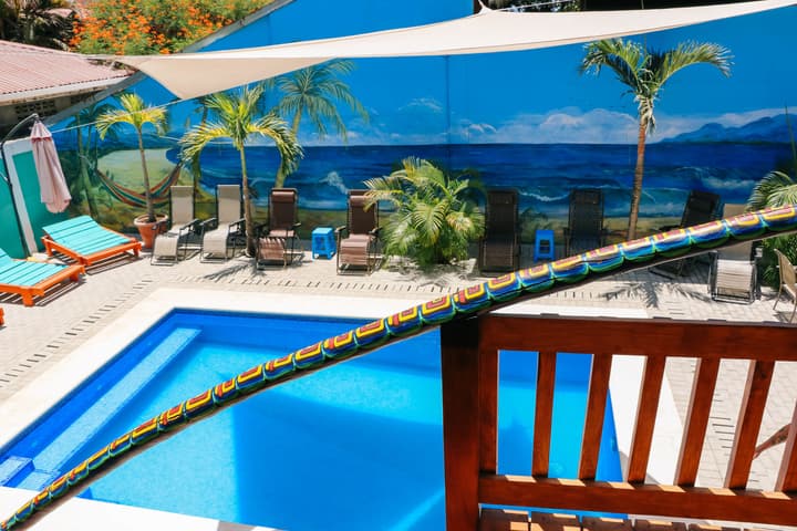 Blue Iguana