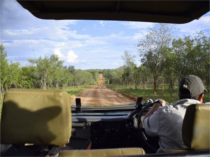 Raptor Retreat Game Lodge