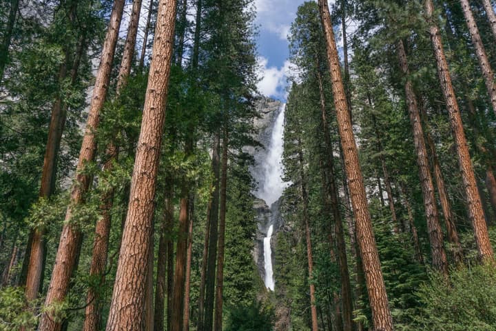 Holiday Inn Express & Suites Oakhurst - Yosemite Park Area by IHG