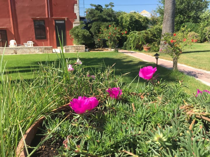 Oasis Guesthouse