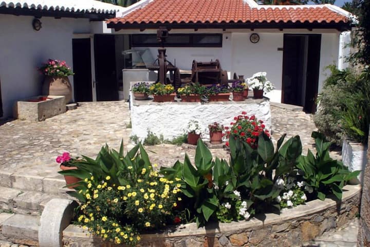 Oasis Guesthouse