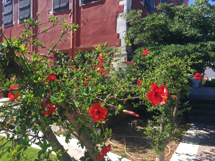 Oasis Guesthouse