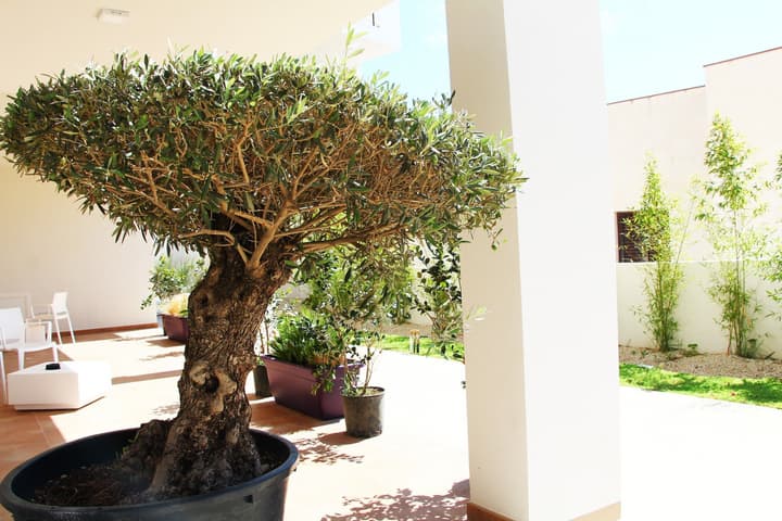 Resort Il Mulino
