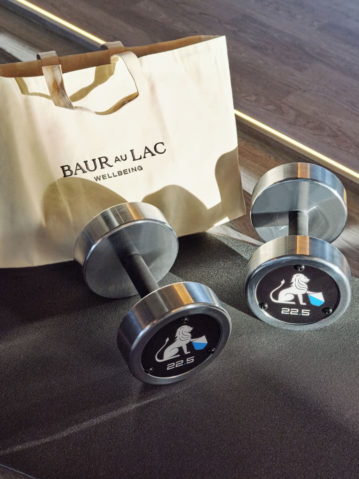 Baur au Lac
