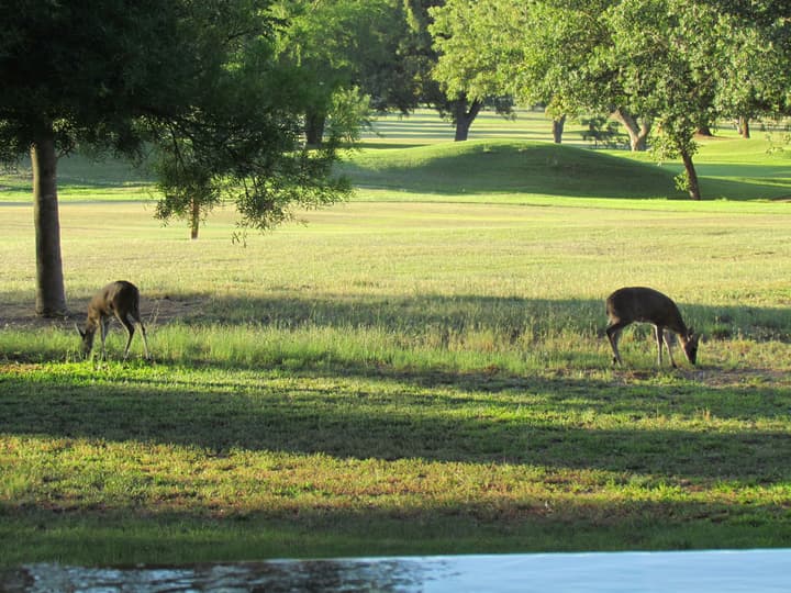 Matumi Golf Lodge