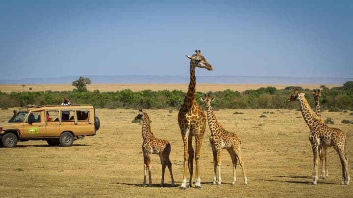 Mara Leisure Camp