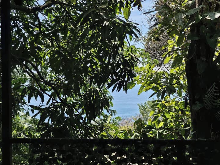 Mango Moon Villa