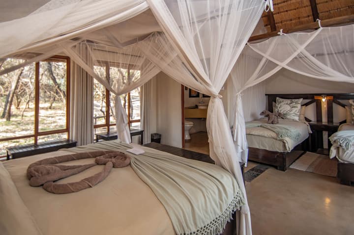 Thornhill Safari Lodge