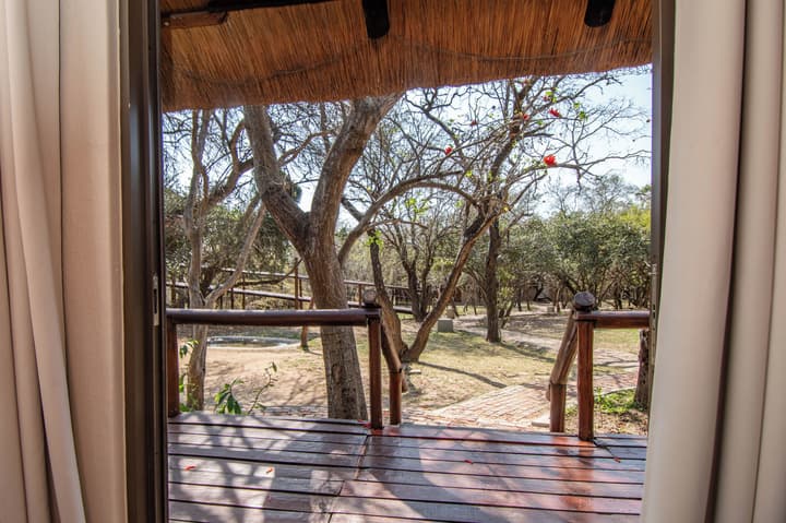 Thornhill Safari Lodge