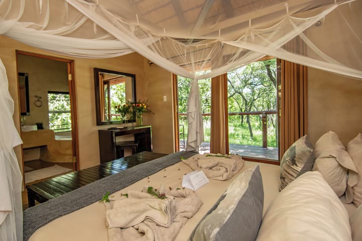 Thornhill Safari Lodge