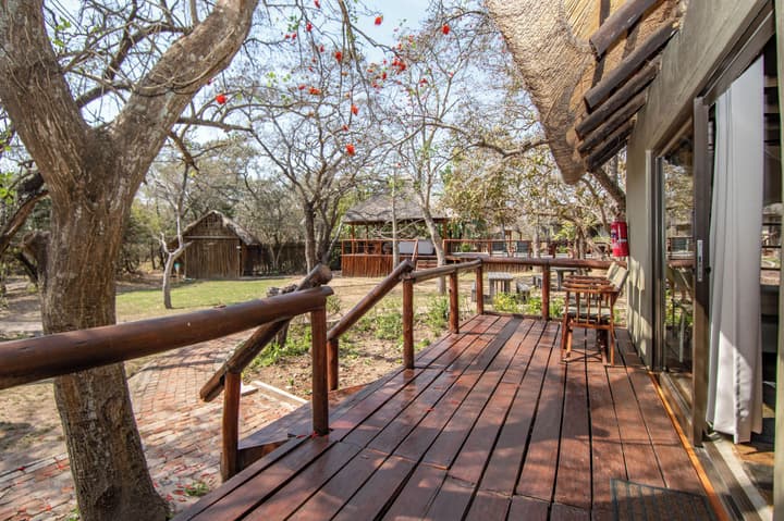 Thornhill Safari Lodge