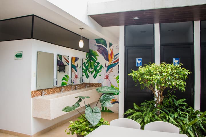 Hostal Gayser - Hostel
